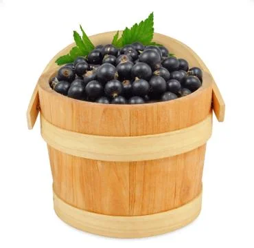 Blackberry Stock Photos