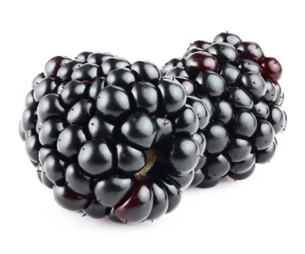 Blackberry Stock-Fotos