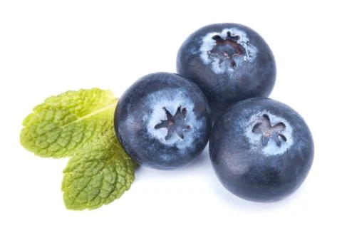 Blackberry Stock Photos