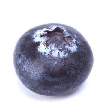 Blackberry Stock Photos