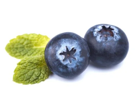 Blackberry Stock Photos