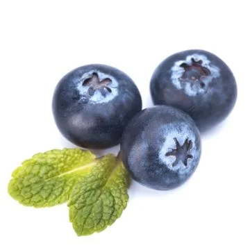 Blackberry Stock Photos