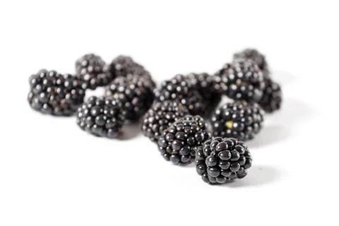 Blackberry Stock Photos