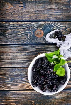 Blackberry Stock Photos