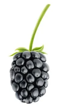 Blackberry Foto stock