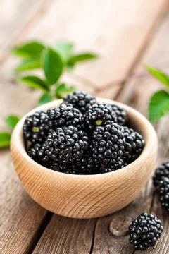 Blackberry 스톡 사진