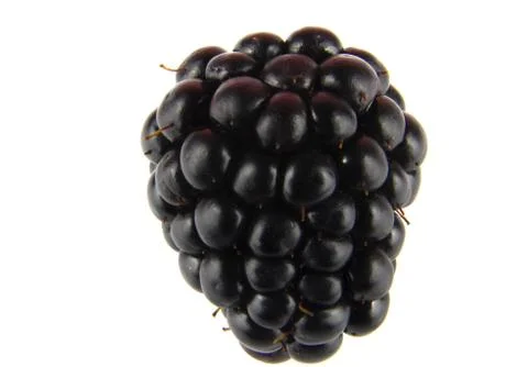Blackberry Stock Photos