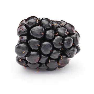 Blackberry Stock Photos