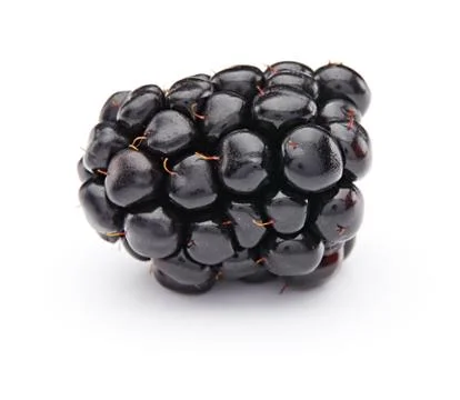 Blackberry Foto stock