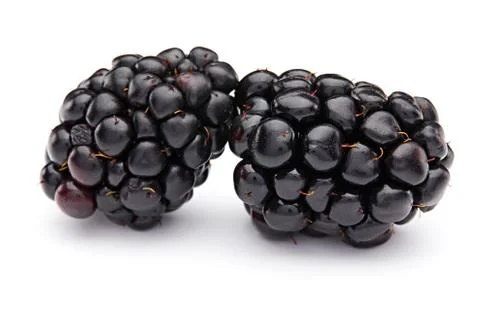 Blackberry Stock Photos