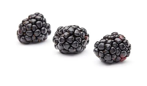 Blackberry Stock Photos