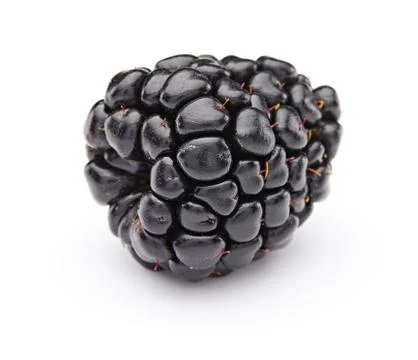 Blackberry Stock Photos