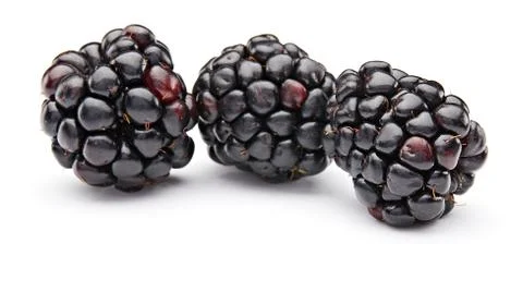 Blackberry Foto stock