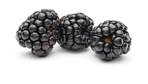 Blackberry Stock Photos