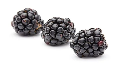 Blackberry Stock Photos
