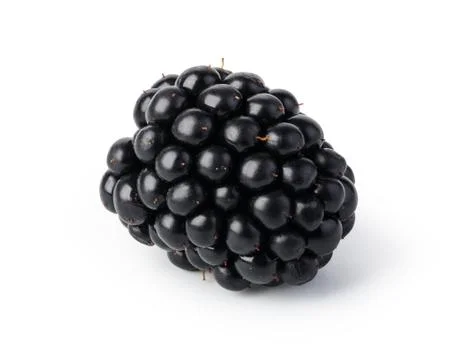 Blackberry Stock Photos