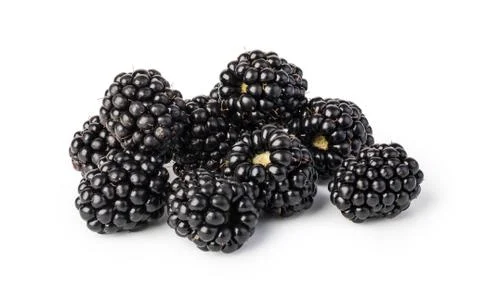 Blackberry Stock Photos