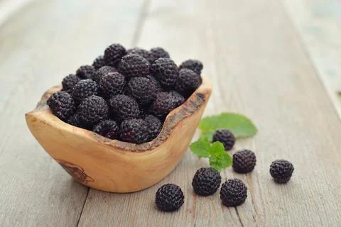 Blackberry Stock Photos