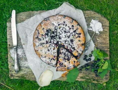 Blackberry pie on the grass Stock Photos