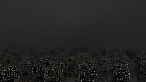 Blackberry with reflection on a black background. Stock Footage 237857887