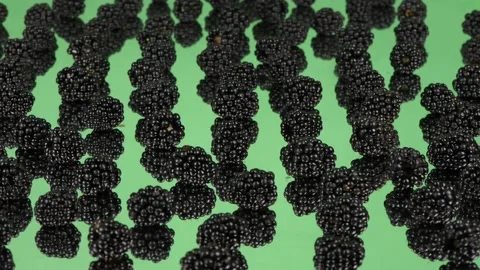 Blackberry with reflection on a green background. Side view. Stock Footage 237857737