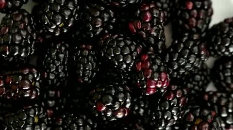 Blackberry On Rotating Display Stock Footage 21945658