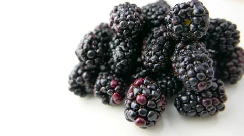 Blackberry Rotating on White Background Stock Footage 62024155