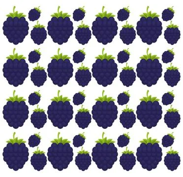 Blackberry seamless pattern design Stock Illustration