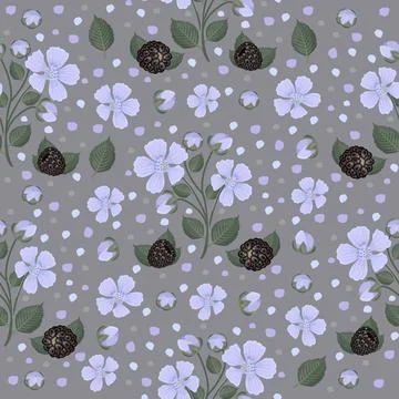 Blackberry seamless pattern with grey background Stock Illustration