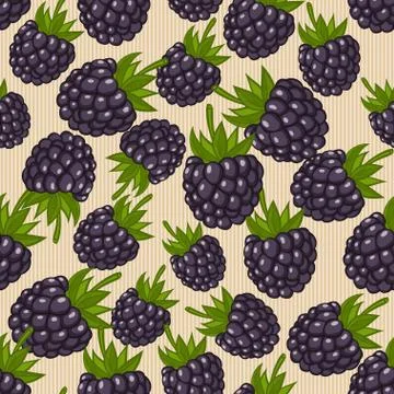 Blackberry seamless pattern Stock-Illustration