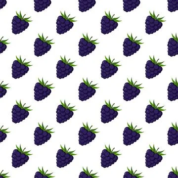 Blackberry seamless pattern on white background. Stock Illustration