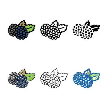 Blackberry series berry color icon vector Stock Illustration