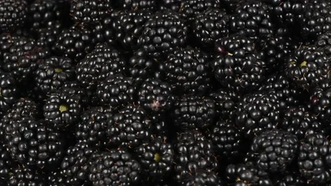Blackberry. Side view. Loop motion. Rotation 360. Stock Footage 163802821