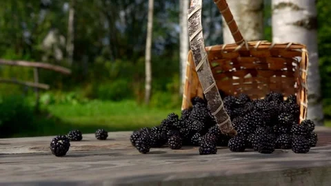 The blackberry spills out Stock Footage 212739113
