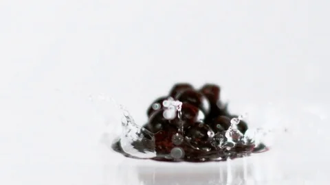 Blackberry Splash Stock Footage 70362542