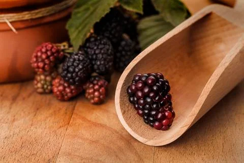 Blackberry in spoon Stock Photos