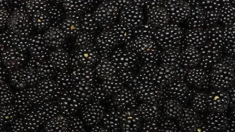 Blackberry. Top view Stock Footage 163805671