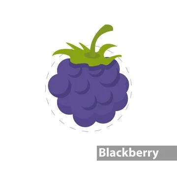 Blackberry vector flat illustration icon Stock Illustration