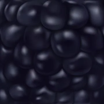 Blackberry(dewberry) texture Stock Illustration