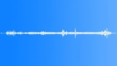 BlackBilled Sicklebill MD DisplaySound Effect