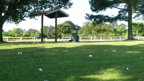 Blackbird and trash Stock Footage 108328027