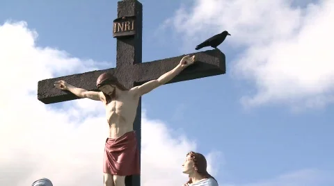 Blackbird on a cross Stock Footage 542391