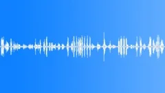 Blackbird cuckoo and other birds.Sound Effect