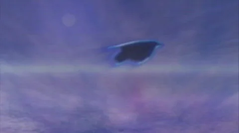 Blackbird Stock Footage 671653