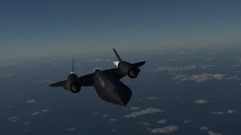 Blackbird Stock Footage 154977111