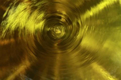 BlackBird Stock Photos