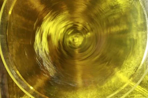 BlackBird Stock Photos