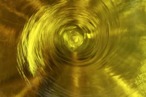 BlackBird Stock Photos