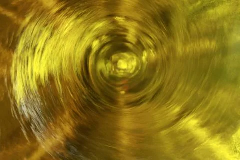 BlackBird Stock Photos