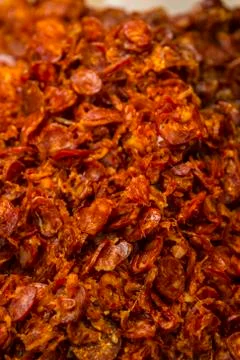 BlackBird Stock Photos